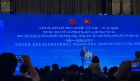 再登高受邀参加中国-越南企业论坛